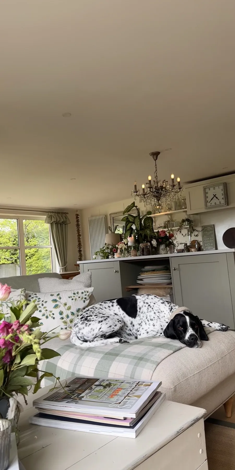 Appletreewick — soft sage sitting room with chandelier, French armoire, and the family dog at rest